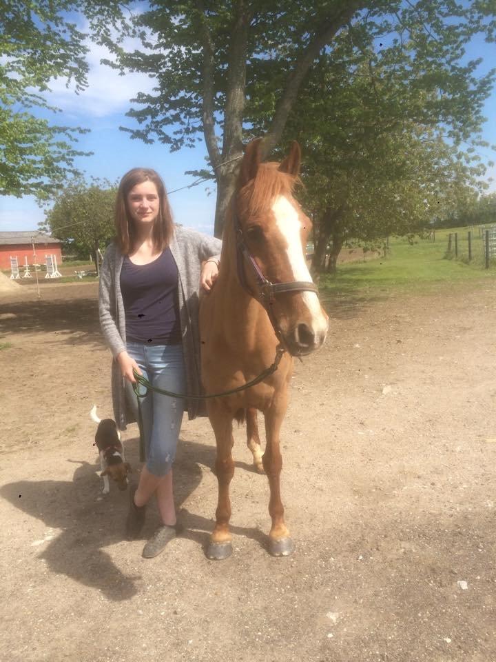 Anden særlig race Dilly  billede 3