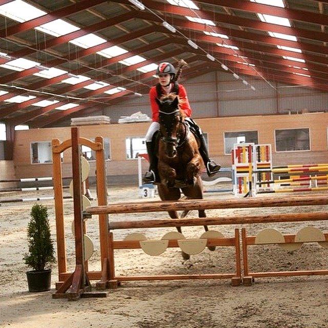 Anden særlig race Top  murdoch billede 15