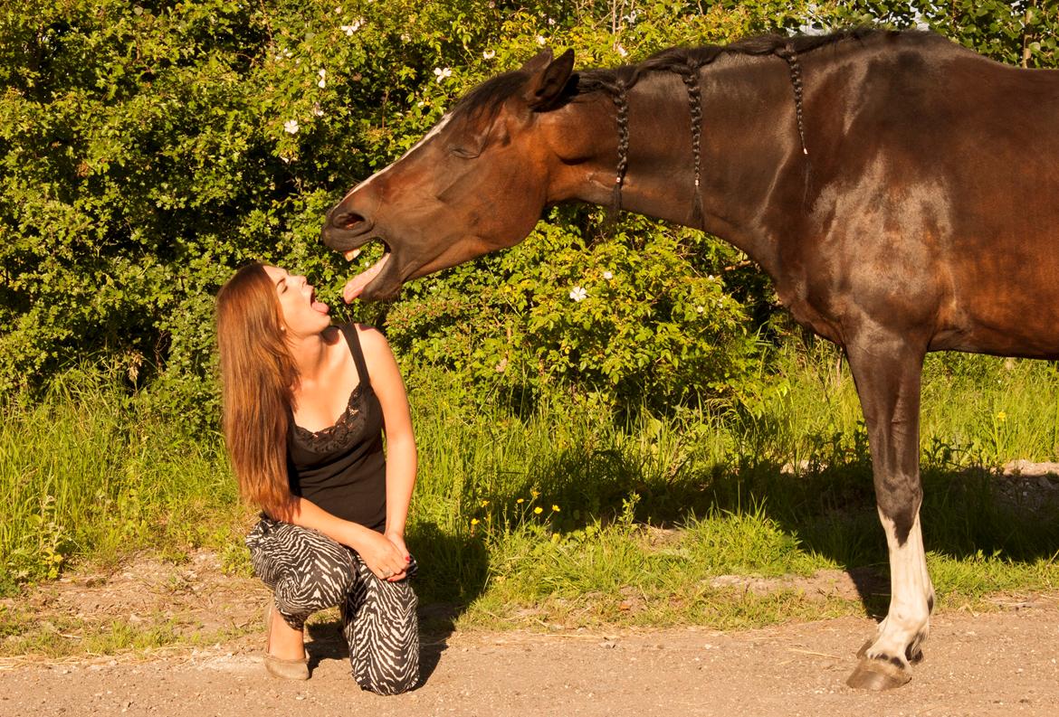 Anden særlig race Bobbiesocks May Beauty billede 15