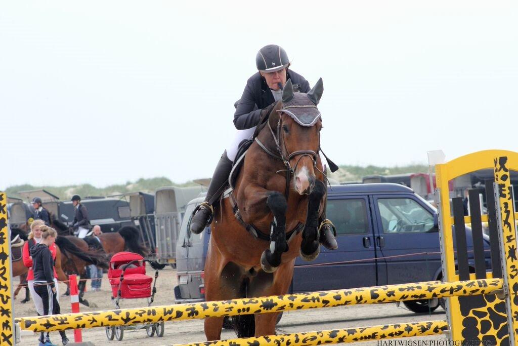 Polsk Varmblod KMS QUERIDO - Rømø Beach Jump billede 19