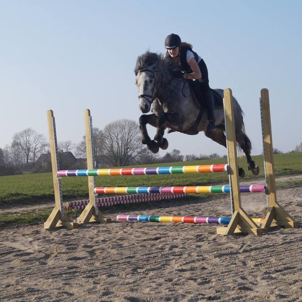 Connemara Bisgaard's Sputnik billede 8