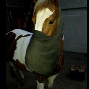 DSP Maygårdens Moulin Rouge (mulle) (part)