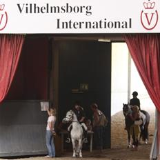 Welsh Mountain (sec A) Meadow's Whipster