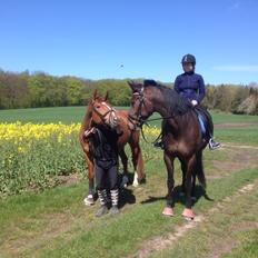 Traver Stanley Fairway.