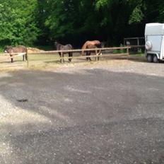 Islænder Vigdis  | tdl. Part |