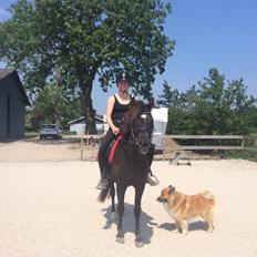 New Forest Soldals Breaking Dawn