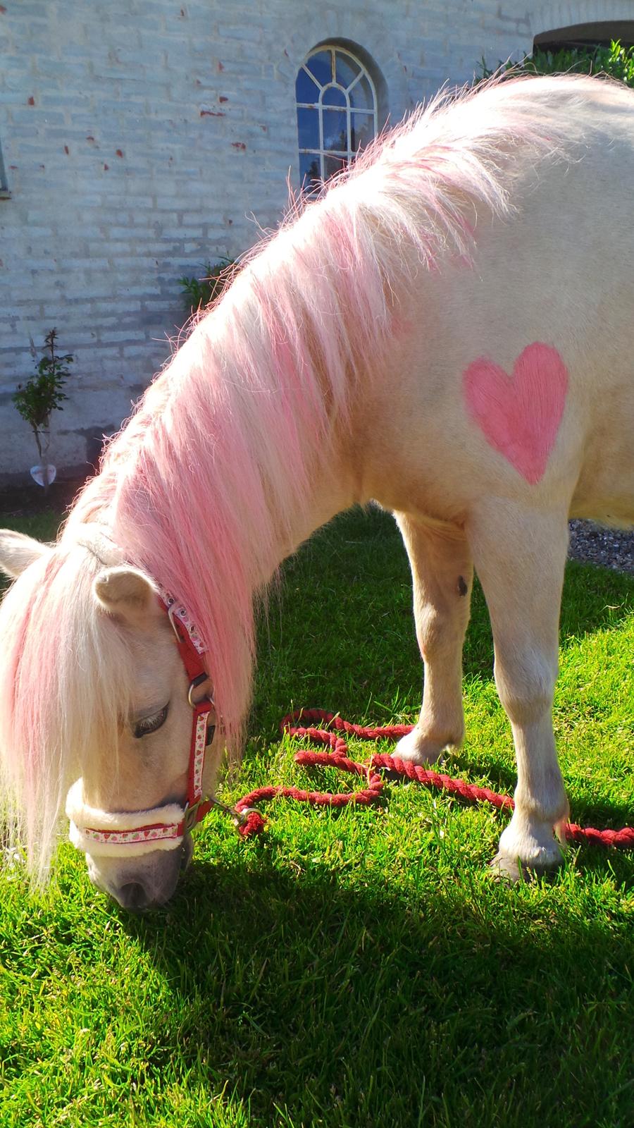 Miniature Mynte - Man skal males når man skal med ud på tur :P billede 5