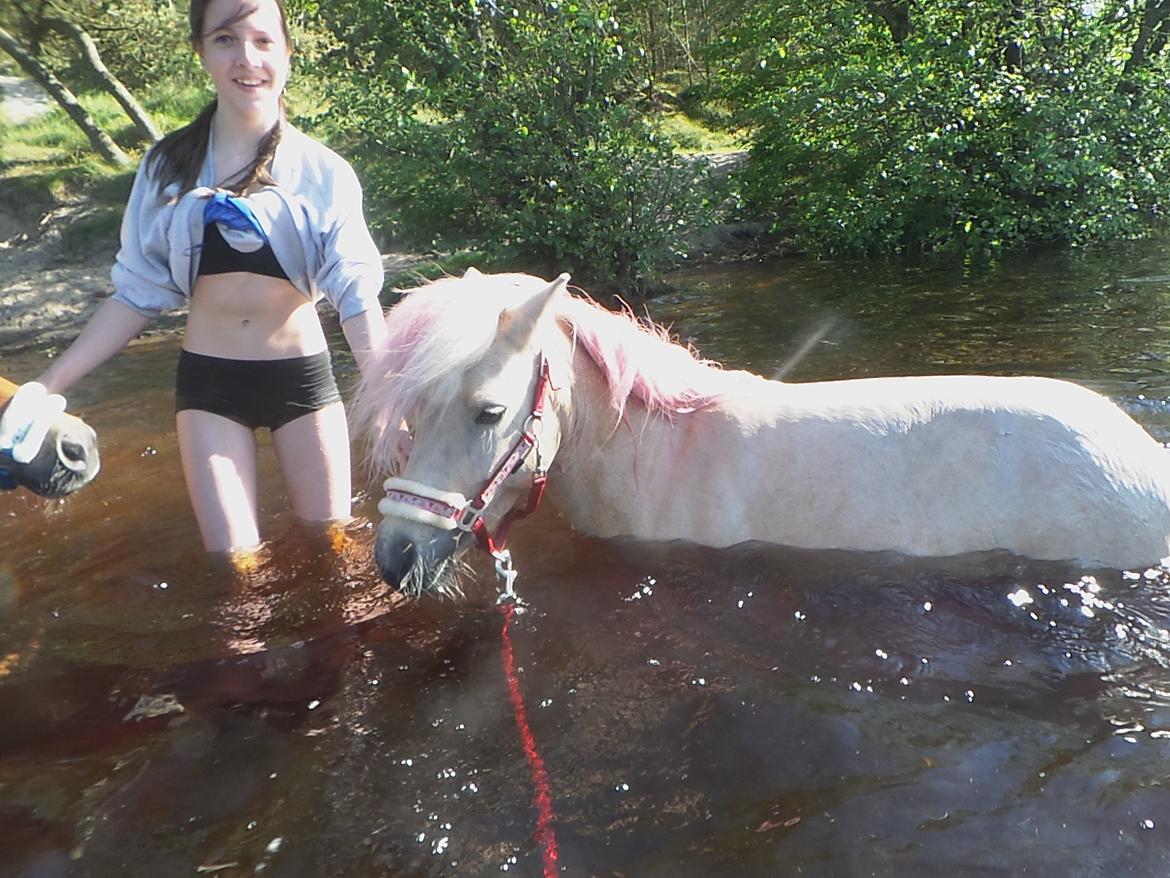 Miniature Mynte - dejligt at bade <3 billede 10