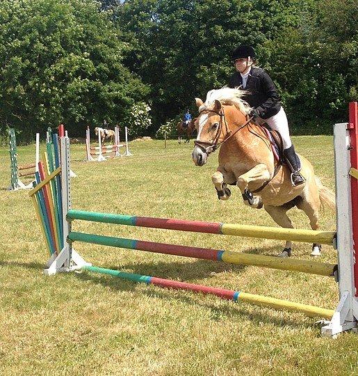 Haflinger Katinka - aa det kan jeg gøre meget bedre:-D billede 3