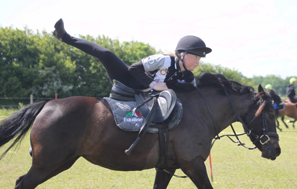 Anden særlig race Dina billede 8