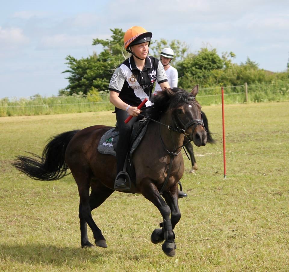 Anden særlig race Dina billede 9