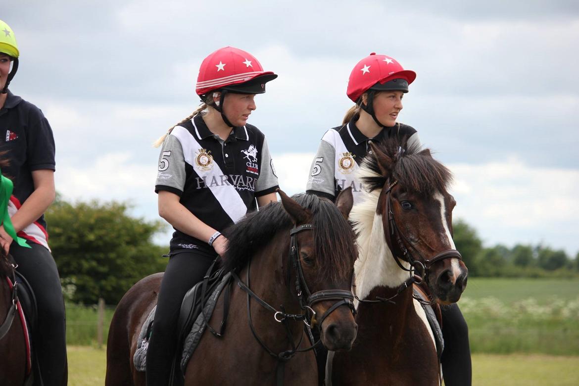Anden særlig race Dina billede 10