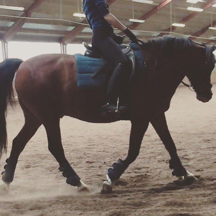 DSP Bæklunds Laredo billede 17