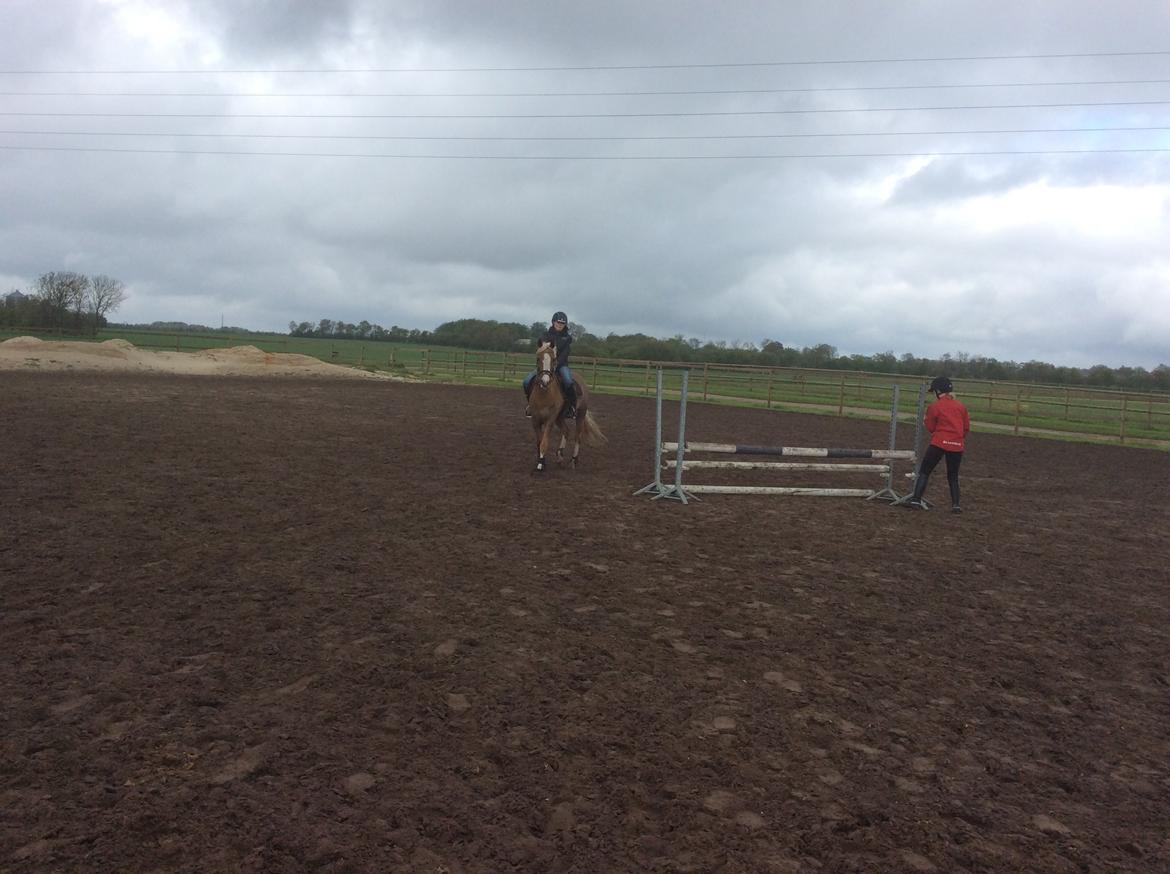 DSP Window billede 5