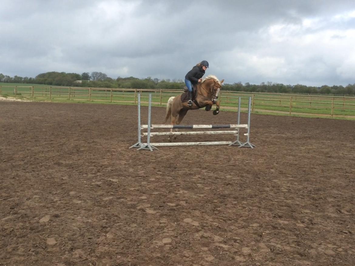 DSP Window billede 6