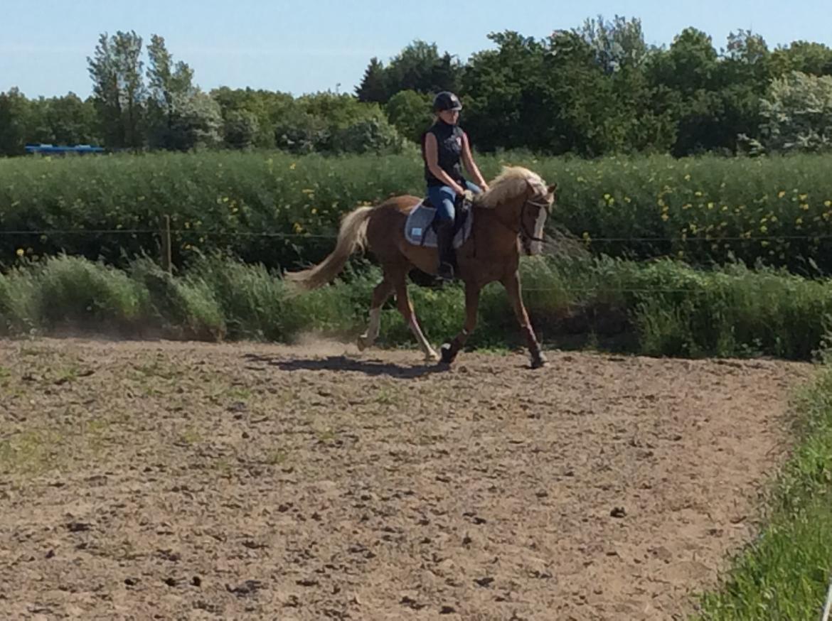 DSP Window billede 10