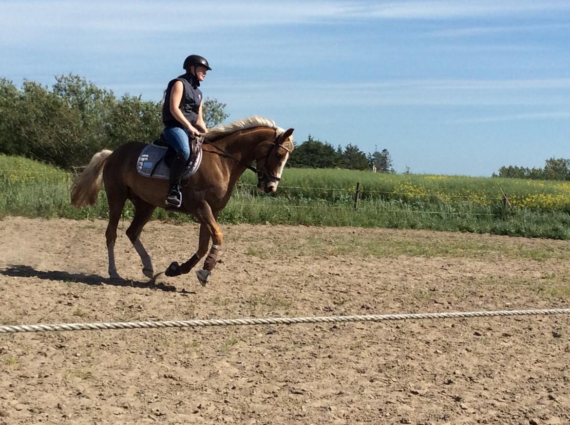 DSP Window billede 9