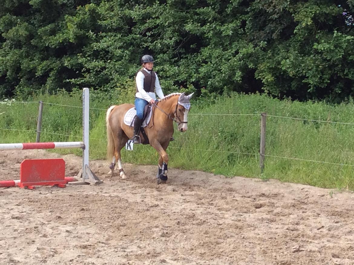 DSP Window billede 13