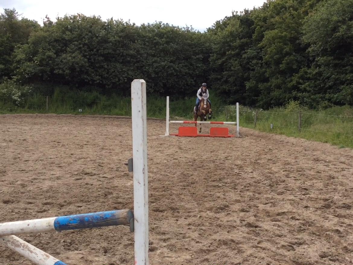 DSP Window billede 14