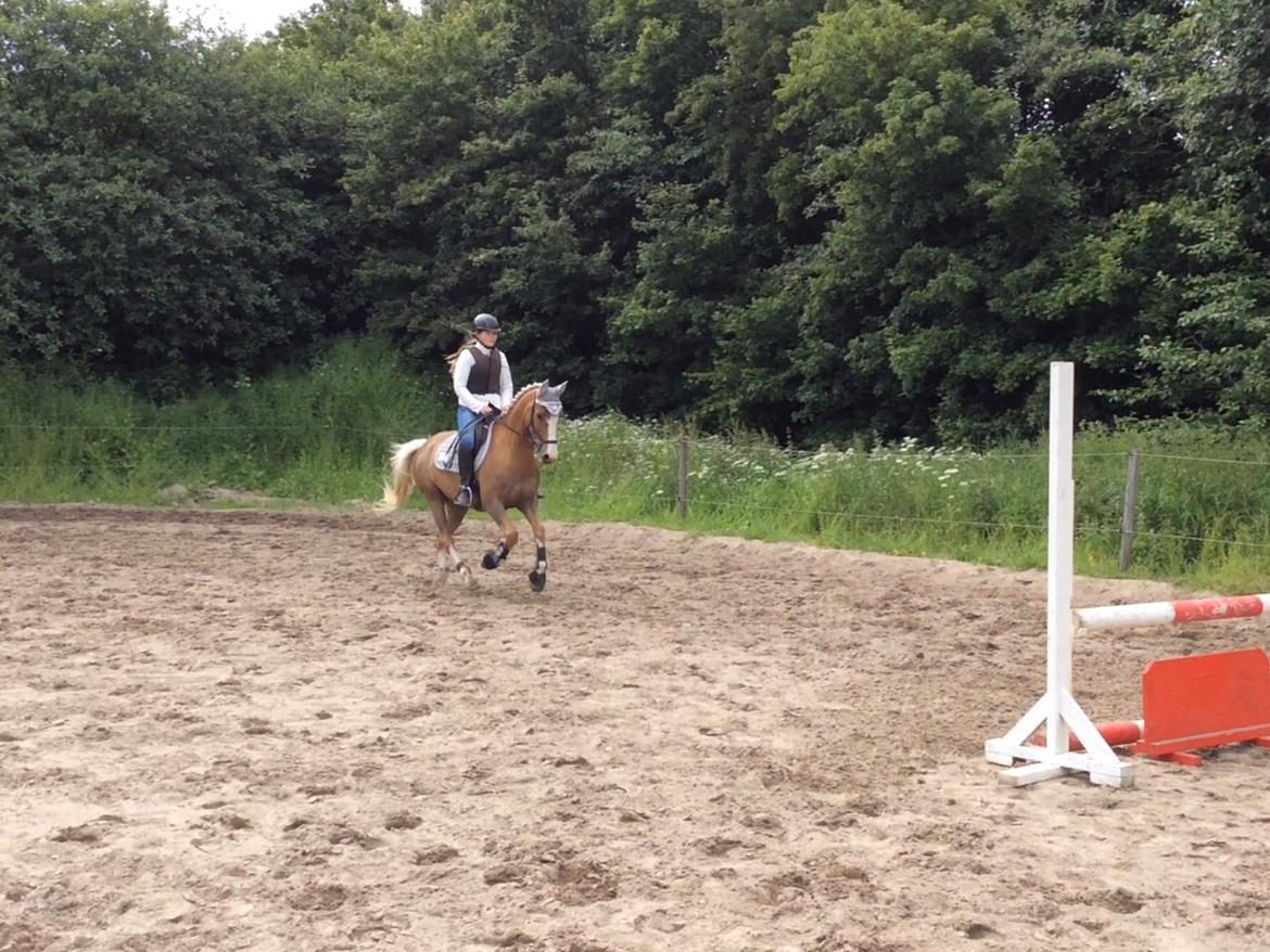 DSP Window billede 15