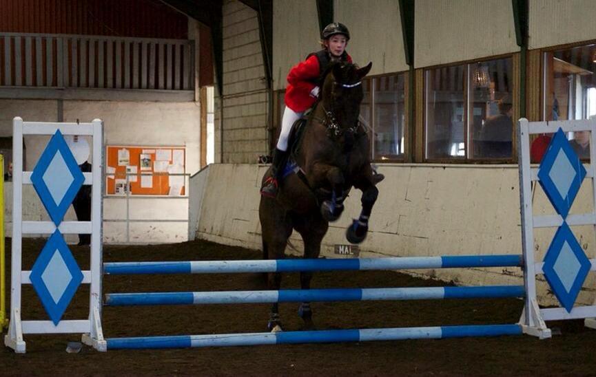 Dansk Varmblod things lucas - stævne på ntr 2015 billede 4