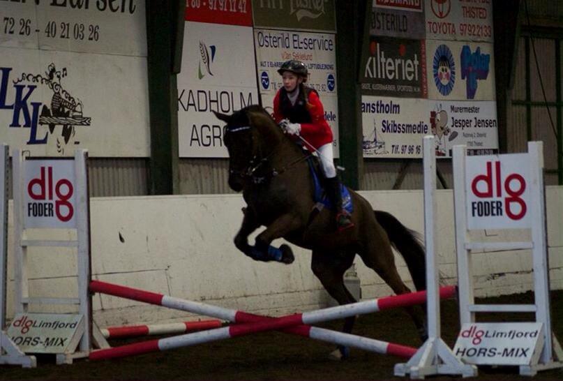 Dansk Varmblod things lucas - stævne på ntr 2015 billede 5