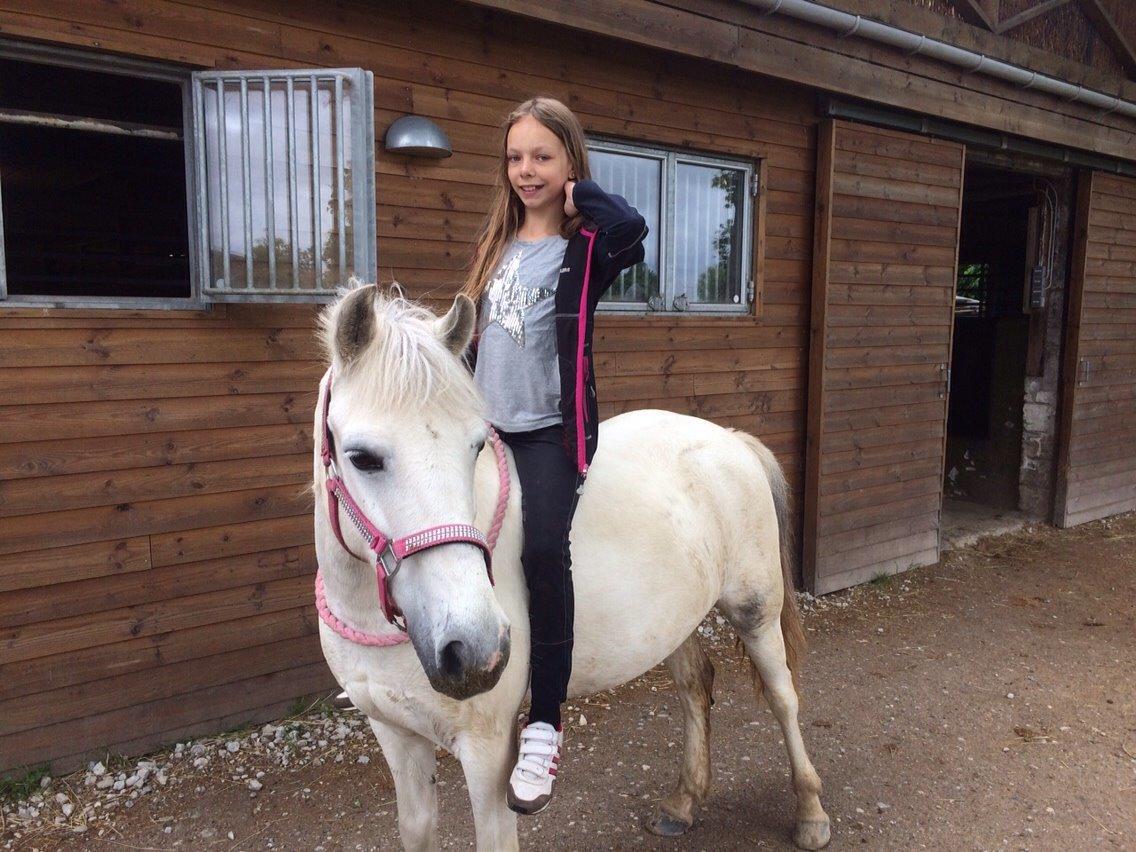 Anden særlig race Ryttergaardens Lille My billede 14