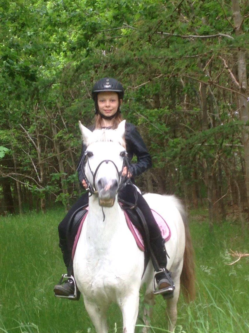 Anden særlig race Ryttergaardens Lille My billede 16