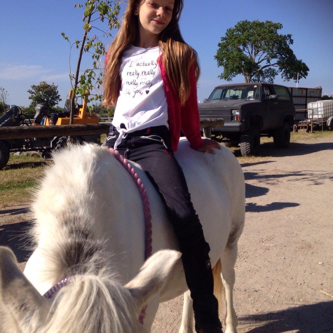 Anden særlig race Ryttergaardens Lille My billede 19