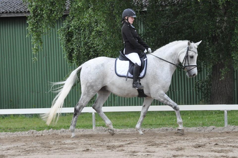 DSP Remember Me Af Sandager billede 6