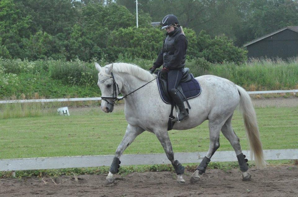 DSP Remember Me Af Sandager billede 8