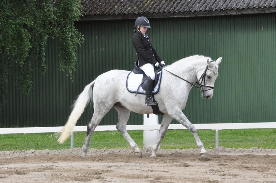 DSP Remember Me Af Sandager billede 9