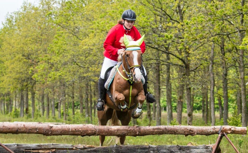 Anden særlig race Birkelund´s Massey - jagt i kompedal billede 11
