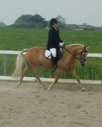 Anden særlig race timon billede 1