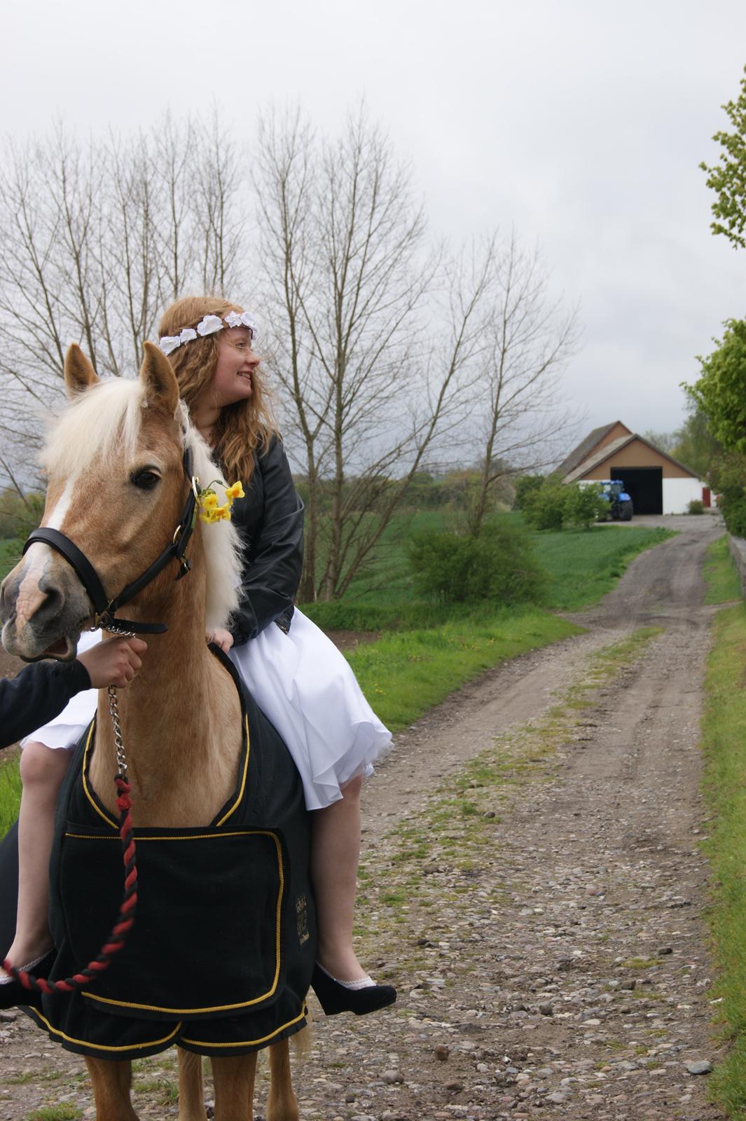 Anden særlig race timon billede 6