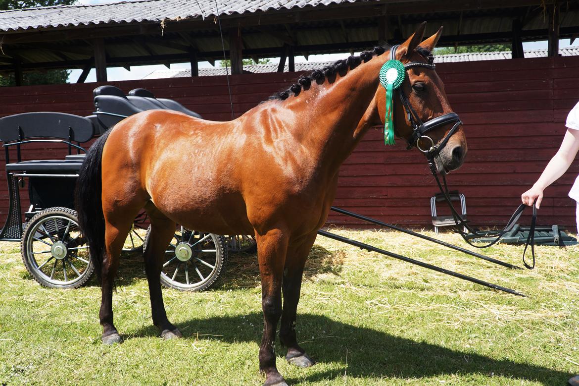 Traver Baron EK (S) billede 16