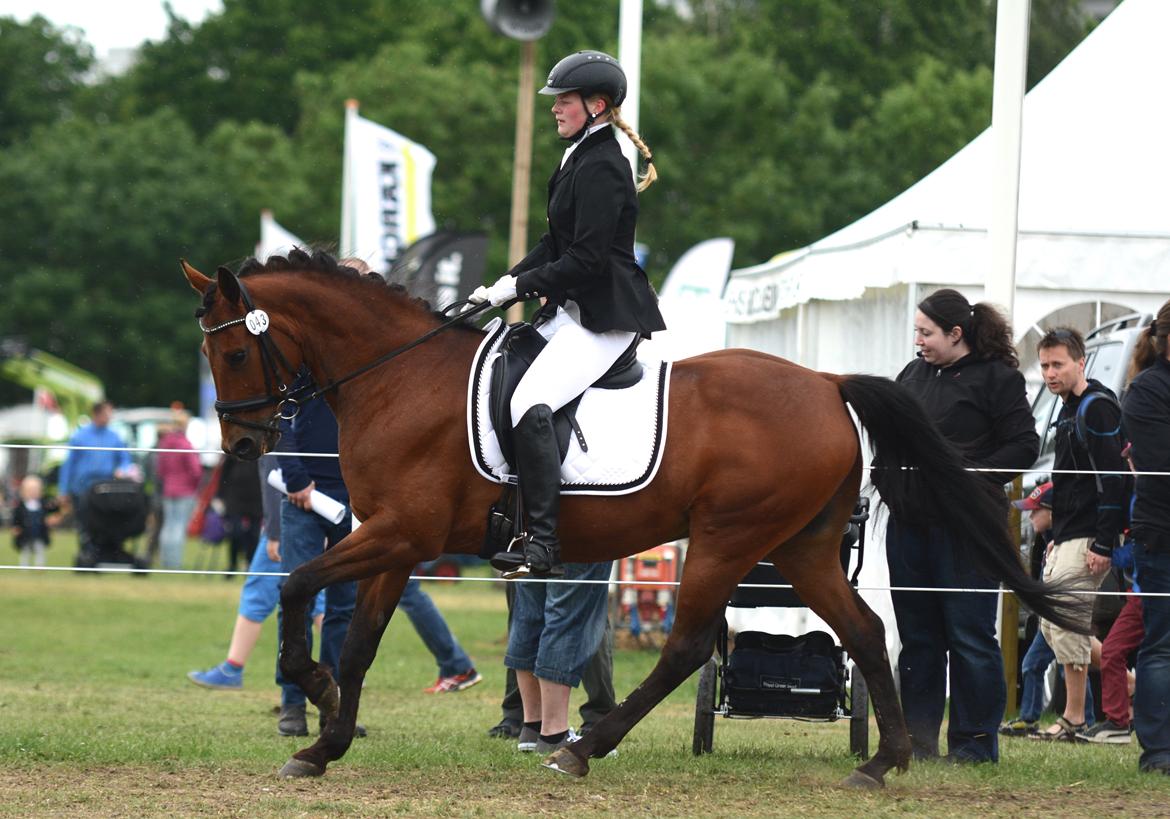 Traver Baron EK (S) billede 4