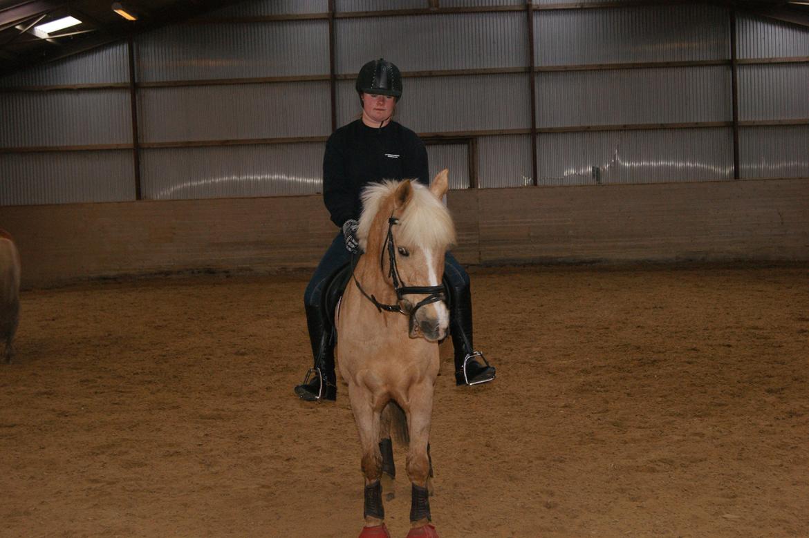 Anden særlig race timon billede 10