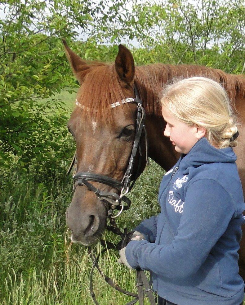 Tysk Sportspony Swing King - Swinger kan allerbedst li når vi er færdige med at ride og vi hygger billede 2