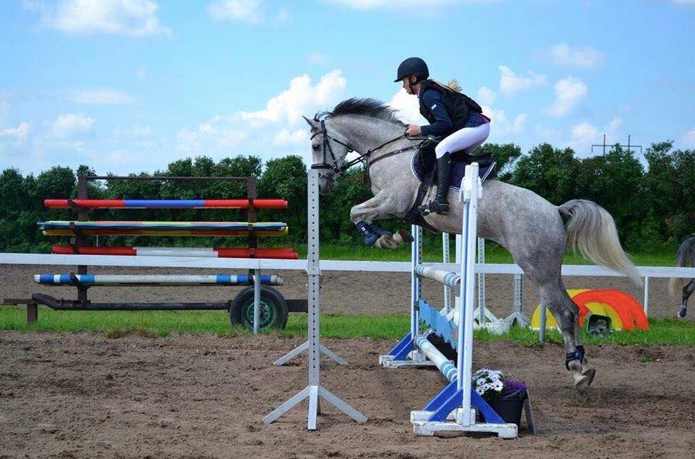 DSP TT Calle Carla billede 17