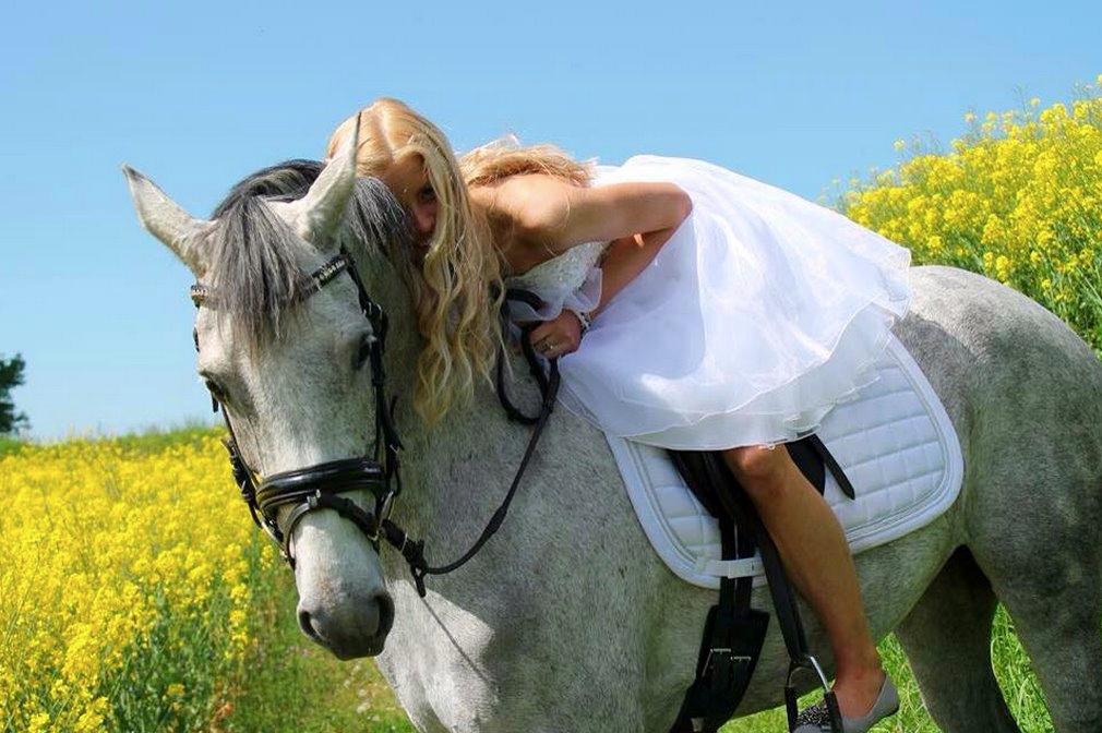 DSP TT Calle Carla billede 27