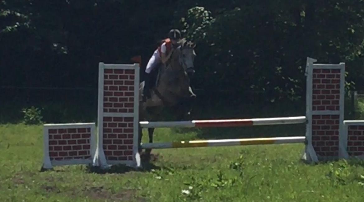 Anden særlig race Alfred (Maccoy) Min nye springpony<3 - D. 28.6.2015 Vores anden stævne sammen, her deltog vi ved Bylderup-Bov Rideklub billede 33