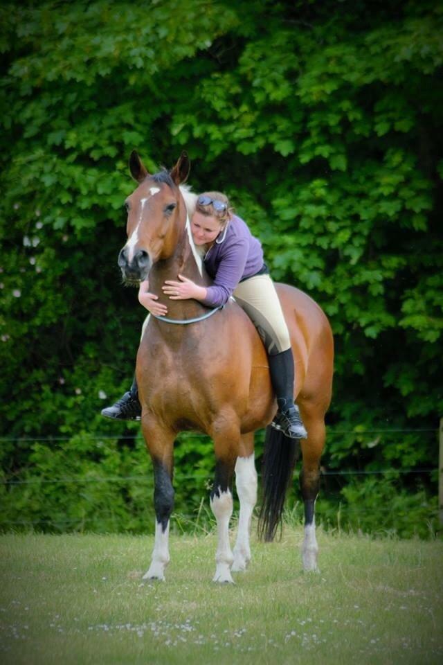 Pinto Thiamo billede 11