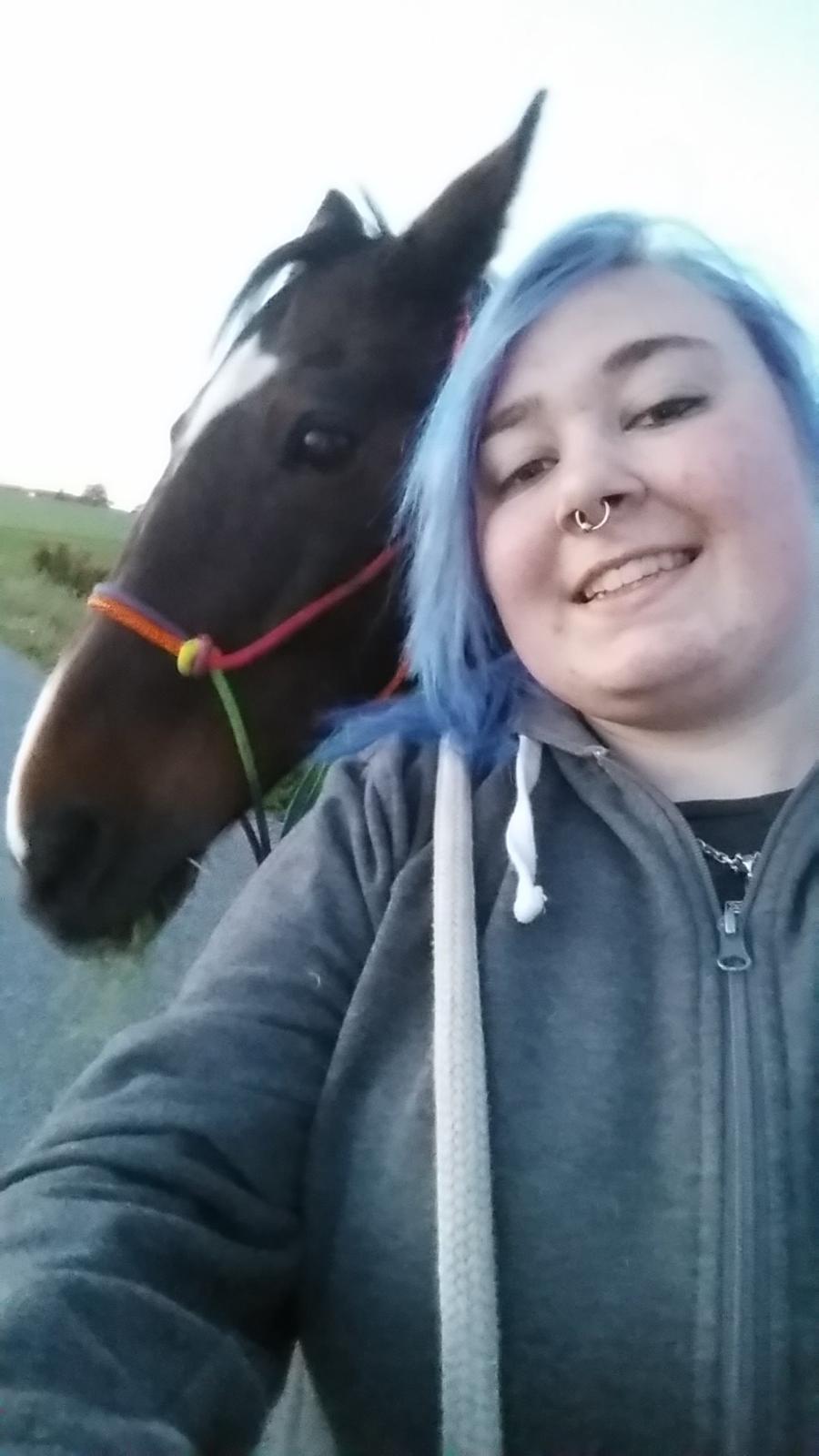 Anden særlig race Indy billede 8