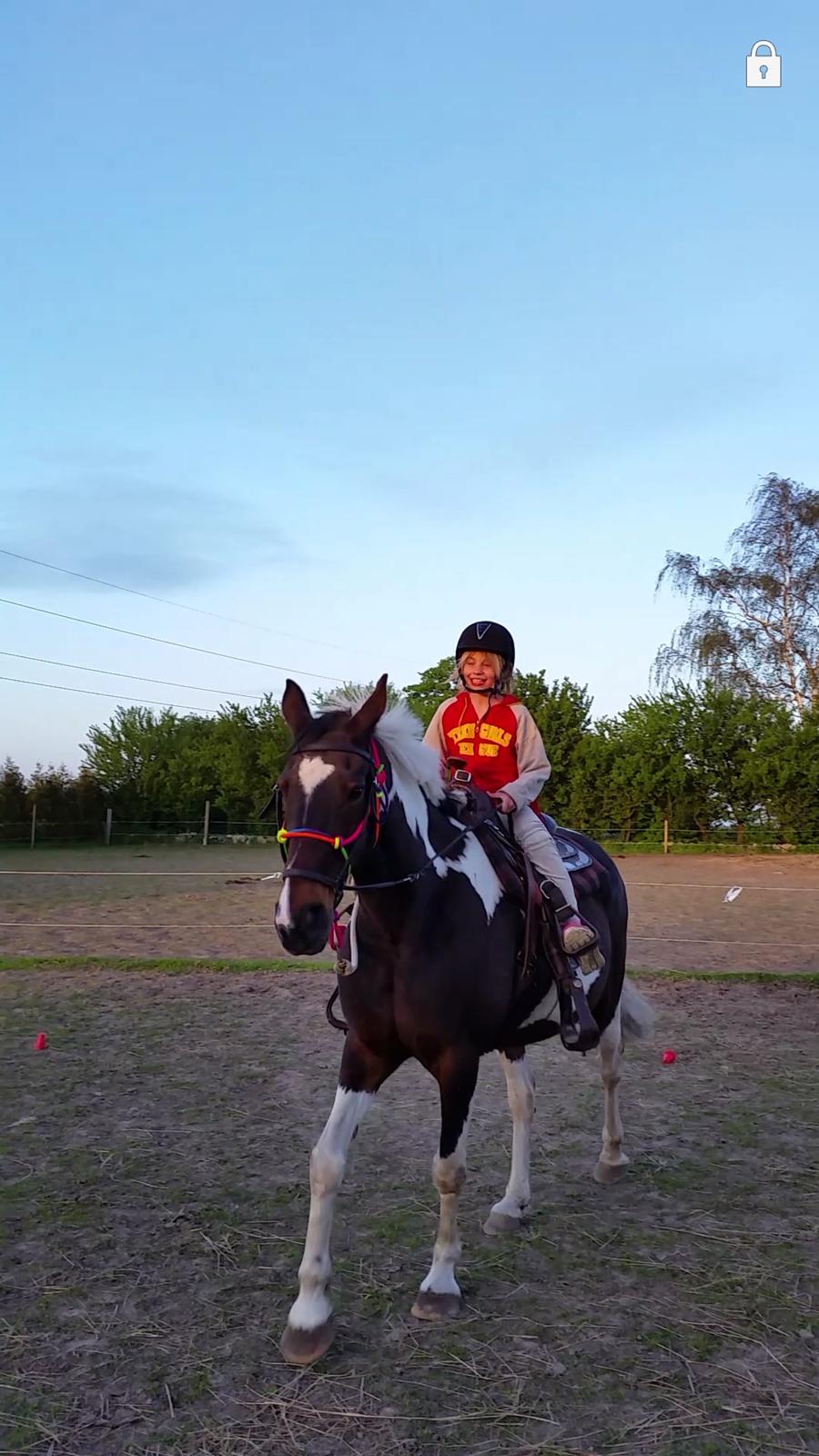 Anden særlig race Indy billede 11