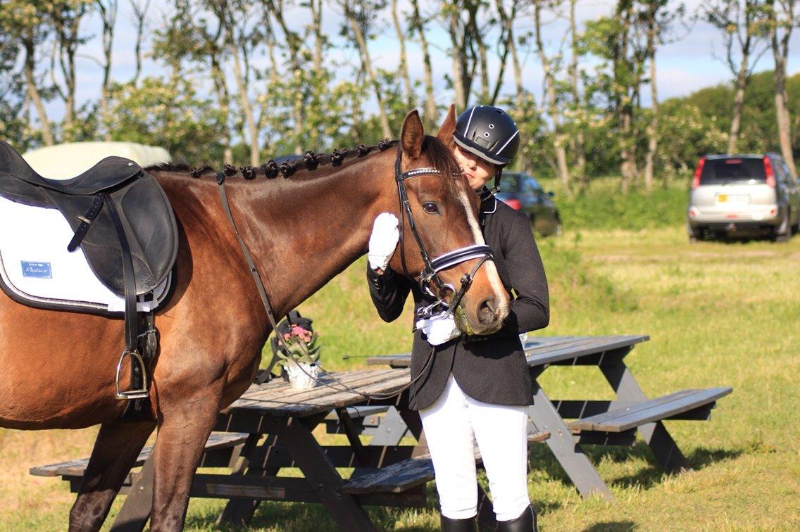 Dansk Varmblod njd/skovly's filuca billede 25