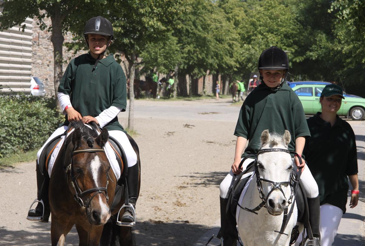 Welsh Mountain (sec A) Meadow's Whipster - Efter holdet skirede sig til anden rundte :) billede 12