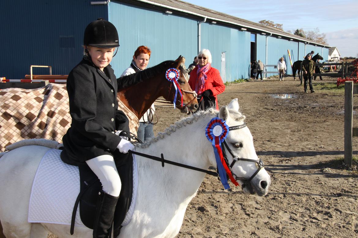 Welsh Mountain (sec A) Meadow's Whipster - Vinder ponyerne, også min hest Danny bagved :P billede 44