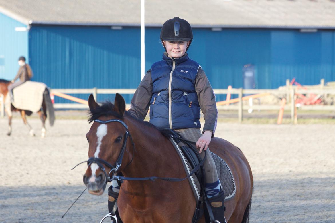 Hollandsk Sportspony Danny - Ingen bedre end min Dannyboy <3  billede 16