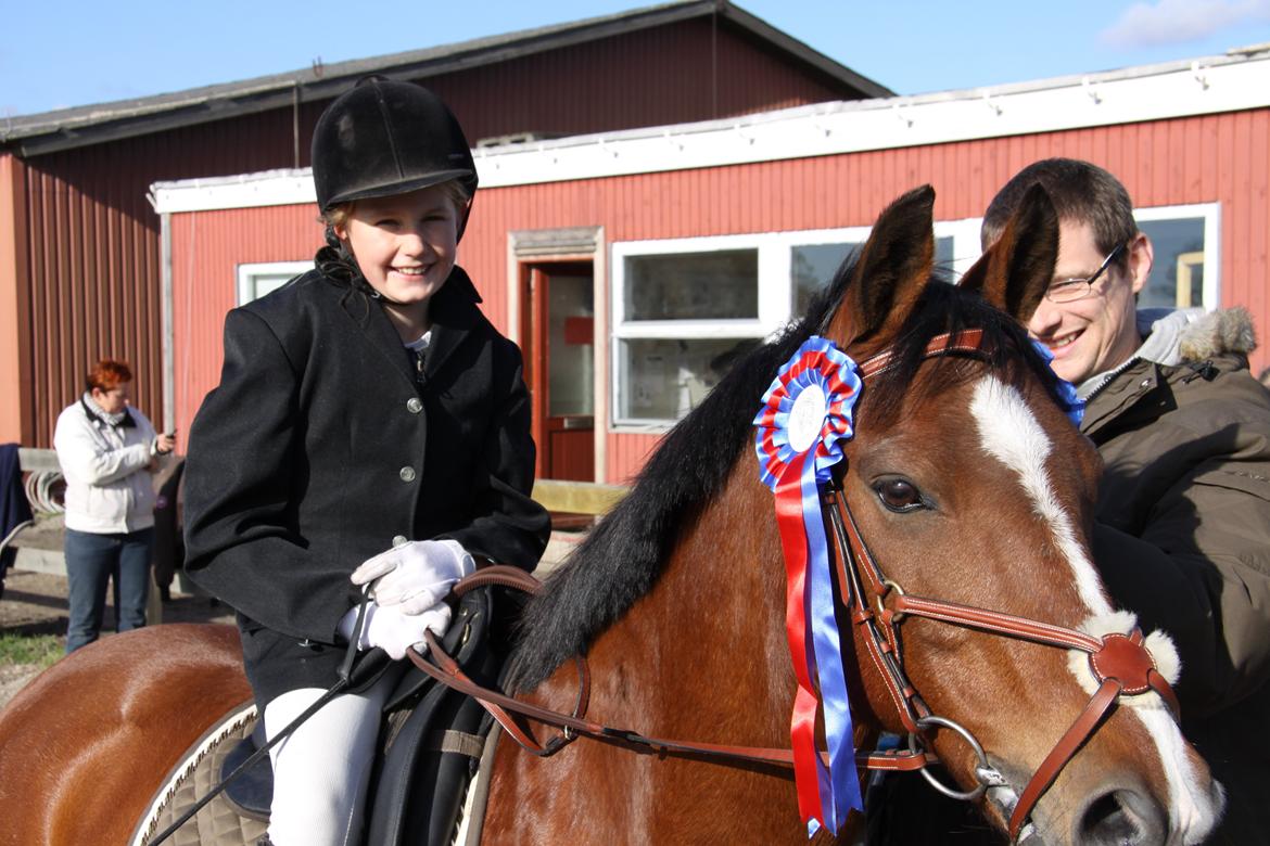 Hollandsk Sportspony Danny - Vinder pony :P billede 22